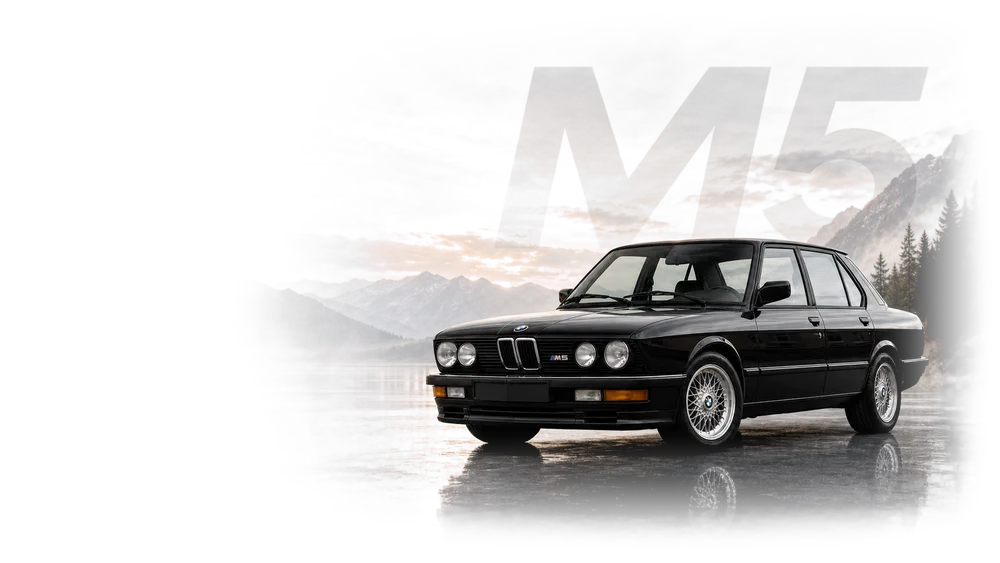 1981 BMW 528e 2.7L I6
