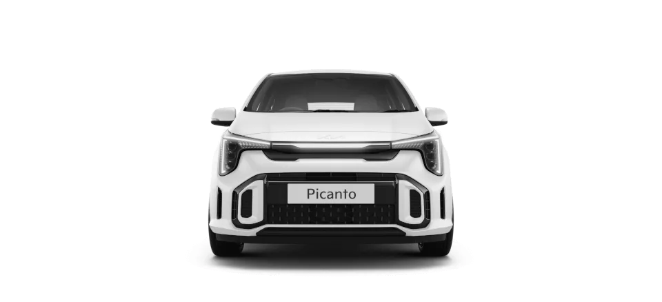 2011 Kia Picanto 1.12L Diesel / 75 hp